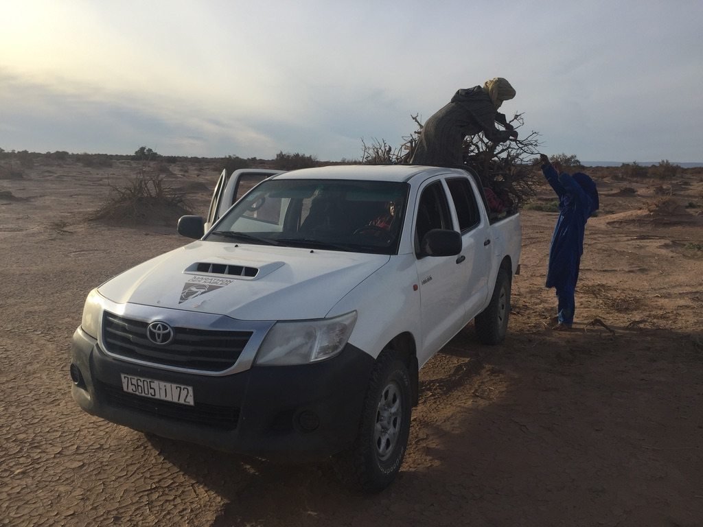 4x4-Pickup wird mit Feuerholz beladen